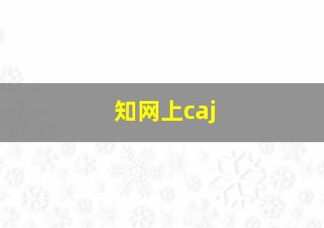 知网上caj