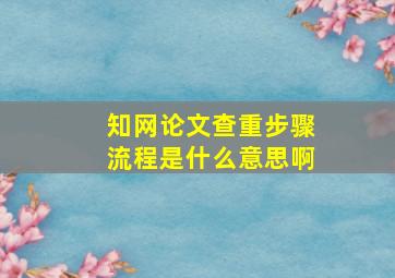 知网论文查重步骤流程是什么意思啊