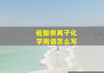 硫酸根离子化学用语怎么写