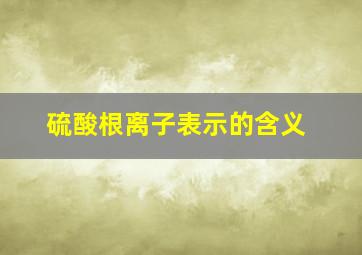 硫酸根离子表示的含义