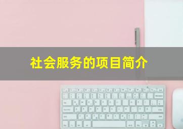 社会服务的项目简介