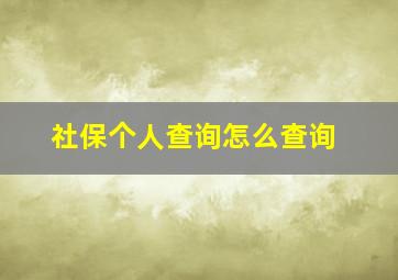 社保个人查询怎么查询