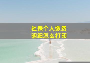 社保个人缴费明细怎么打印