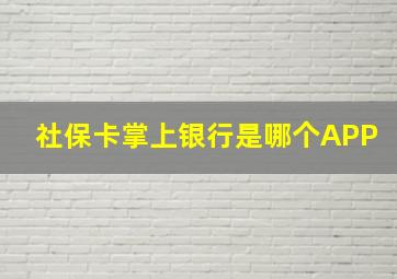 社保卡掌上银行是哪个APP