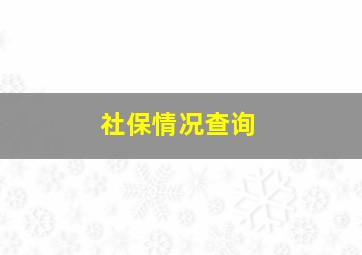 社保情况查询