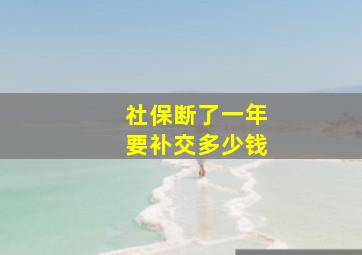 社保断了一年要补交多少钱