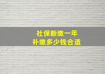 社保断缴一年补缴多少钱合适