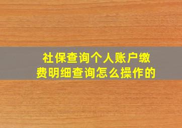 社保查询个人账户缴费明细查询怎么操作的