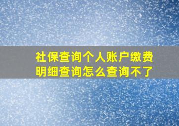 社保查询个人账户缴费明细查询怎么查询不了