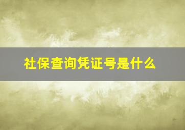 社保查询凭证号是什么