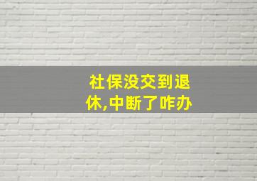 社保没交到退休,中断了咋办