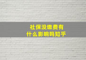 社保没缴费有什么影响吗知乎