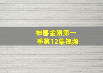 神兽金刚第一季第12集视频