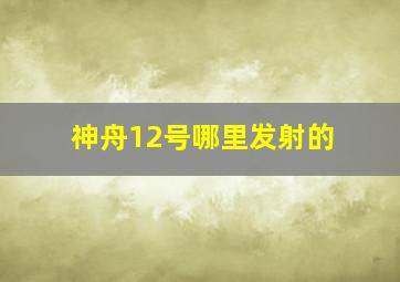 神舟12号哪里发射的