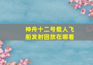 神舟十二号载人飞船发射回放在哪看