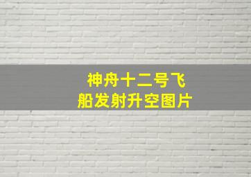 神舟十二号飞船发射升空图片