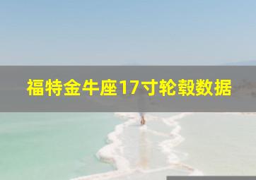 福特金牛座17寸轮毂数据