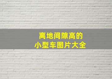 离地间隙高的小型车图片大全