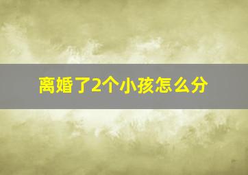 离婚了2个小孩怎么分