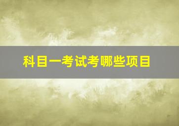 科目一考试考哪些项目