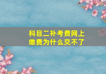 科目二补考费网上缴费为什么交不了