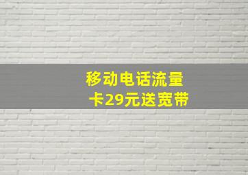 移动电话流量卡29元送宽带