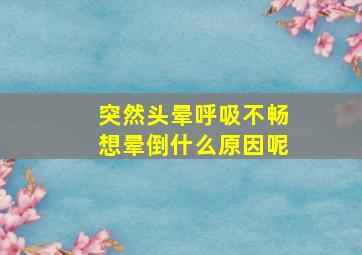 突然头晕呼吸不畅想晕倒什么原因呢