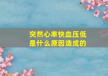 突然心率快血压低是什么原因造成的