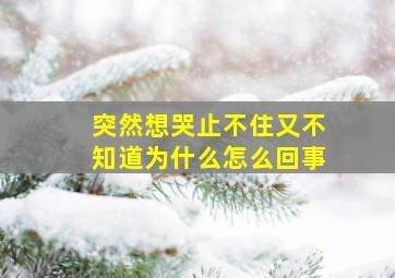 突然想哭止不住又不知道为什么怎么回事