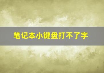 笔记本小键盘打不了字