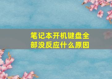 笔记本开机键盘全部没反应什么原因