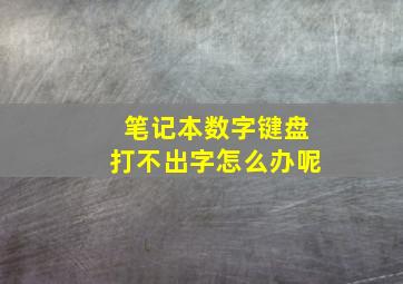 笔记本数字键盘打不出字怎么办呢