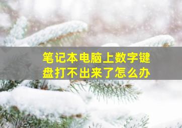 笔记本电脑上数字键盘打不出来了怎么办