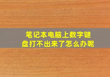 笔记本电脑上数字键盘打不出来了怎么办呢