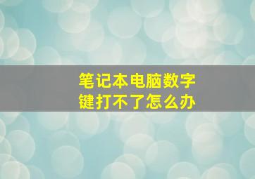 笔记本电脑数字键打不了怎么办