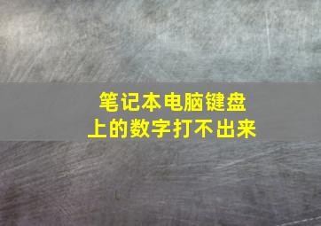 笔记本电脑键盘上的数字打不出来