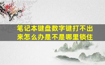 笔记本键盘数字键打不出来怎么办是不是哪里锁住