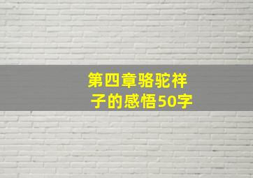 第四章骆驼祥子的感悟50字