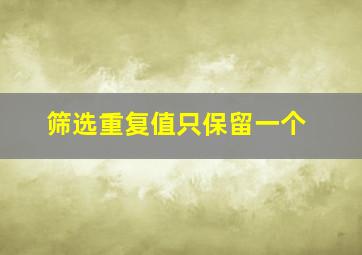 筛选重复值只保留一个