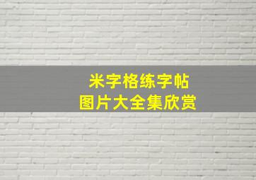 米字格练字帖图片大全集欣赏