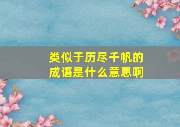 类似于历尽千帆的成语是什么意思啊