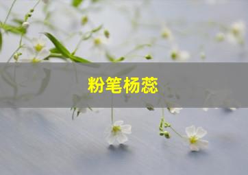 粉笔杨蕊