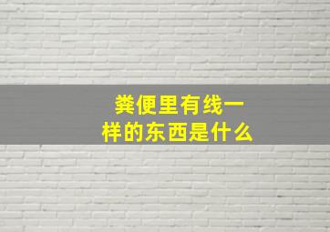 粪便里有线一样的东西是什么