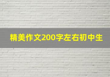 精美作文200字左右初中生