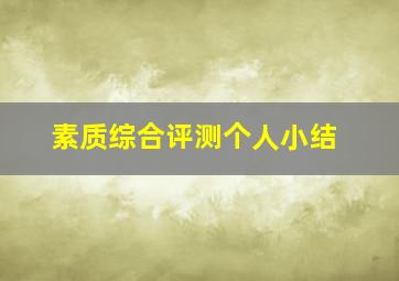 素质综合评测个人小结