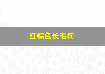 红棕色长毛狗