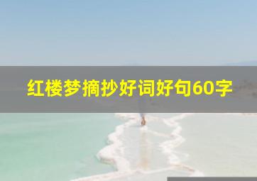 红楼梦摘抄好词好句60字