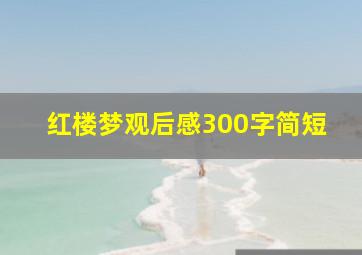 红楼梦观后感300字简短