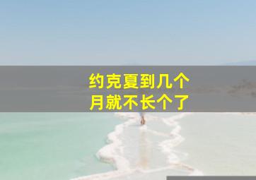 约克夏到几个月就不长个了