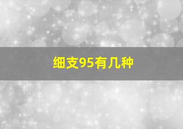 细支95有几种